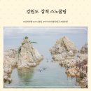 경찰서 진입로구간 | 강원도 삼척 장호항 스노쿨링 명소 가볼 만한 곳
