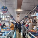 가시섬초 해초사랑 | 삼천포 용궁수산시장 주말나들이 후기｜물메기·삼천포회 제철 먹거리 정리