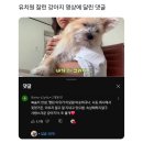 다이어터
