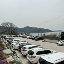 금평목장 | 김제 금산사 근교 대형 카페 달밤 (feat.휘낭시에 소금빵 벚꽃)
