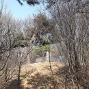 동산리마애여래상 이미지
