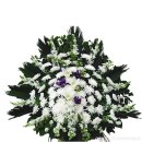 남구-013 이미지