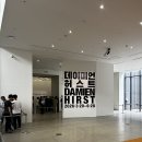 국립현대미술관 데이미언 허스트 전시회 개인적인 후기 - 삶과 죽음 사이의 집착
