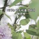 사랑받고 자란사람 이미지