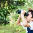 동탄이화유치원 이미지