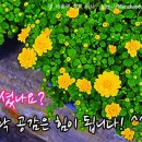 칠불암한옥펜션 이미지