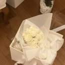 하스 | 하스 스냅 아이폰스냅 후기 (아펠가모 공덕)