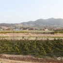 빨래마을 이미지