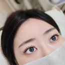 프롬아이속눈썹