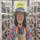 송화마트 이미지