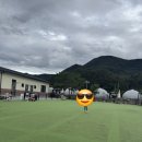 애견가족 | 가평 아워포레스트 애견캠핑장 가족 캠핑 후기 🐶🏕️