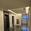 브라운도트사상르네시떼점 이미지