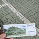 부처님오신날 청도 운문사 나들이🌿 임산부 힐링 여행으로 너무 좋았던 운문사 방문 후기