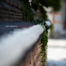 넝쿨 - 동래구 금강공원로 31-1 | 넝쿨