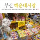 부산 해운대시장 해수욕장 옆 먹거리 구경하기 (feat. 하니바니)