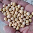 교리2길-3 이미지