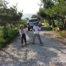 용인농장 이미지