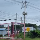 개꿀하우스 이미지