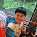 탄벌초등학교 병설유치원 이미지