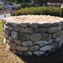 순천-77호 이미지