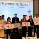 스마트보조기 데일리벳