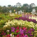 넘버원허브 이미지