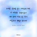 알리캘리