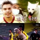 카치토