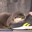 햇님농장 이미지