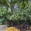 류가농장 이미지