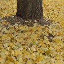 보은 우당고택 이미지