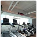 머스트 짐 이미지