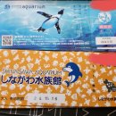 선샤인시티 수족관 티켓(2,500엔) 시나가와 수족관 (1,100엔) 팝니다 이미지