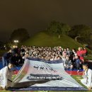 용인대 금메달 태권도 이미지