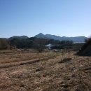 옥천농장 이미지