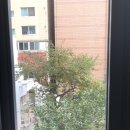 해바라기PC방 이미지