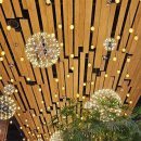 김포한탄강메기매운탕 이미지