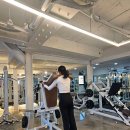 임스타핏 이미지