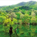 청송나무집 이미지