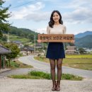 관기 | [충청북도 보은군 마로면] 임한리 솔밭과 관기시장이 품은 역사와 자연의 숨결