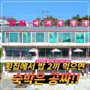 어가촌세꼬시 | 강화도 유천횟집 숙박 후기