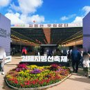 플래닉 | 전북 아이와 가볼만한곳 김제 지평선 축제 벽골제 다녀온 후기