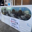 강태웅생생아구