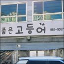김포한강로 | 화덕으로 구운 겉바속촉 끝판왕 김포한강로 고등어구이 맛집