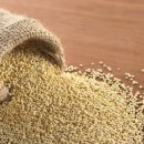 신진수퍼 이미지