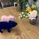 핑크돼지(pinkpig)