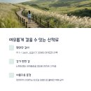 신촌초등학교 | 제주 동쪽 닭머르해안길 주차 정보 총정리｜한적한 해안길 걷기 추천