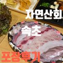 바다횟집 | 속초 회포장 자연산 회 전문점 속초바다횟집 후기