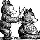 동물미용업 영업등록신청 이미지