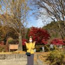 산기슭메밀촌